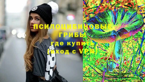 a pvp Абаза