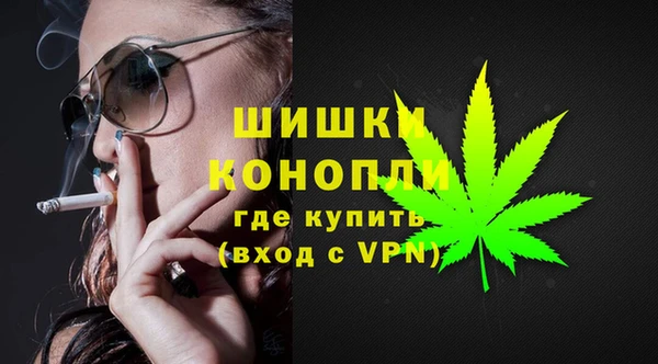 тгк Медногорск