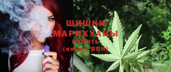 тгк Медногорск