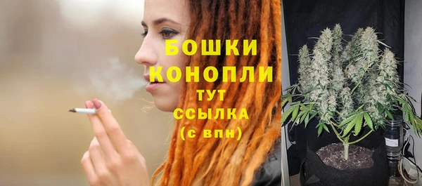 тгк Медногорск