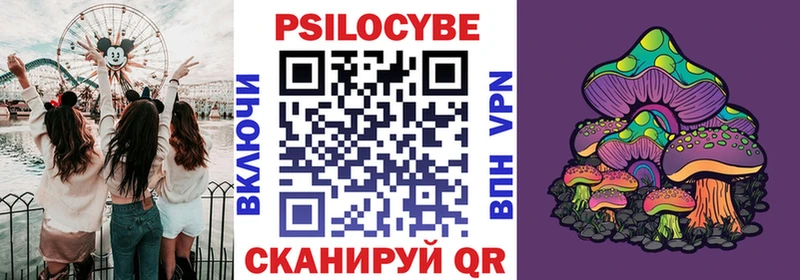 Галлюциногенные грибы мицелий  как найти наркотики  Звенигово 